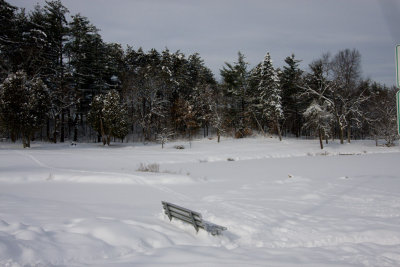 Winter-13.jpg