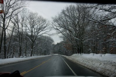 Winter-15.jpg