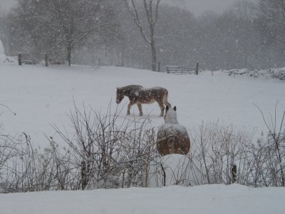 Winter-16.jpg