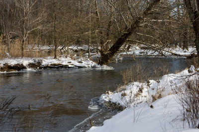 Winter-20.jpg