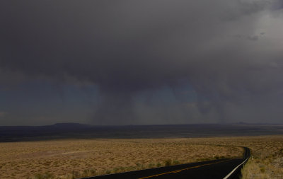desert storm