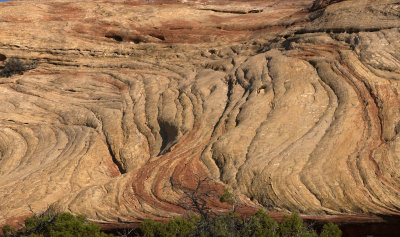 Sandstone ripples