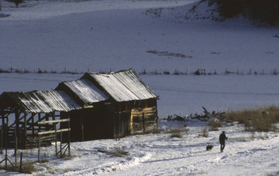 Winter Walk