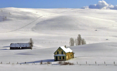 Winter homestead