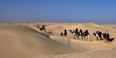Camel Trek 4