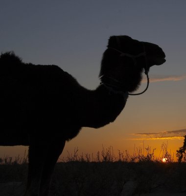 sunset.