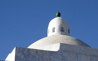 dome with pigeon