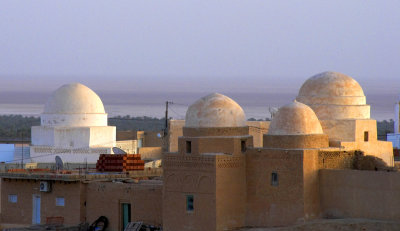 Oasis domes.
