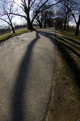 Shadow Walk