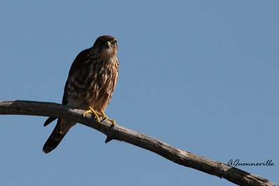 g1/75/915875/3/116909521.O30x7D0M.jpg