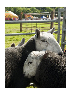 lamlash foire agricole isle of arran