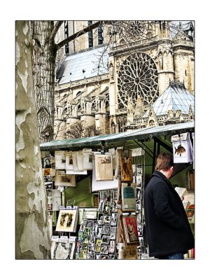 les quais et notre dame