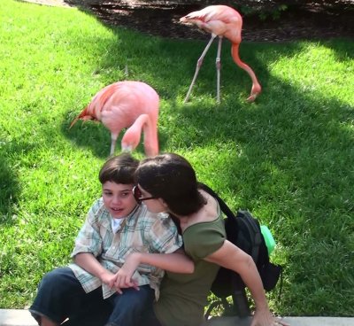 flamingo grooming Daniel's hair