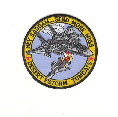 F14V1.jpg