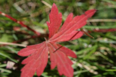 g1/75/960175/3/128950038.zoxmo4JH.jpg