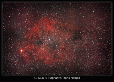 Elephant's-Trunk-Nebula