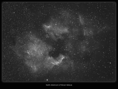 North-American-Pelican-Nebula.jpg