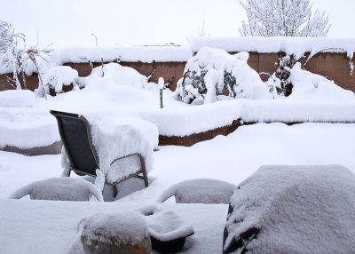 Backyard After Snowstorm