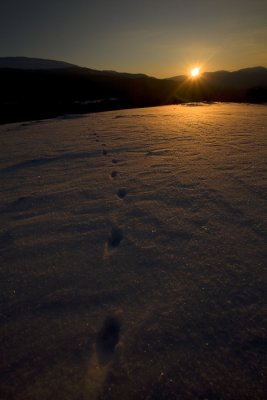 IMG_4063_u_pb.jpg