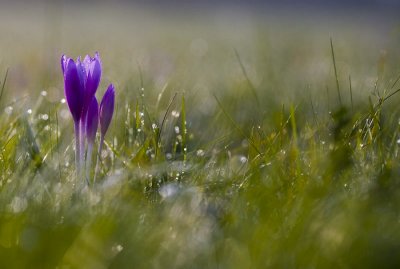 g1/76/17076/3/110093358.9vejL1WL.jpg