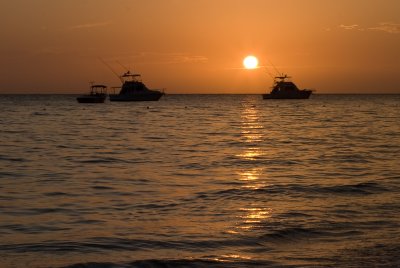 Img_2820pb.jpg