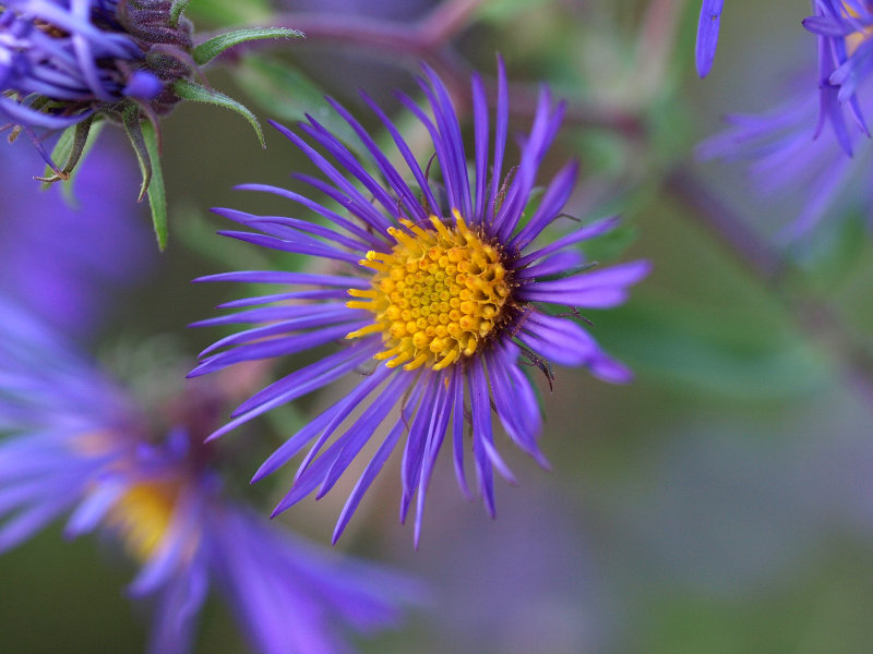 P9158995.jpg