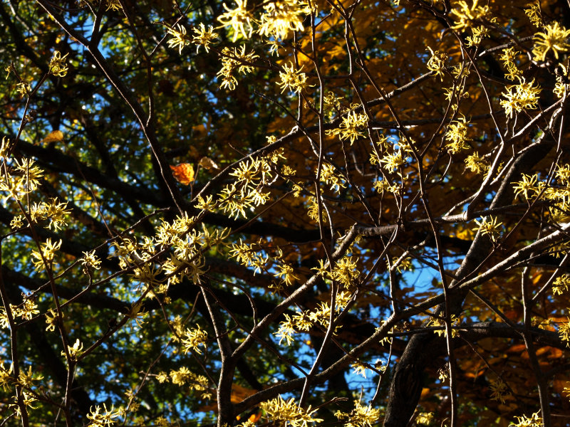 PA131008.jpg