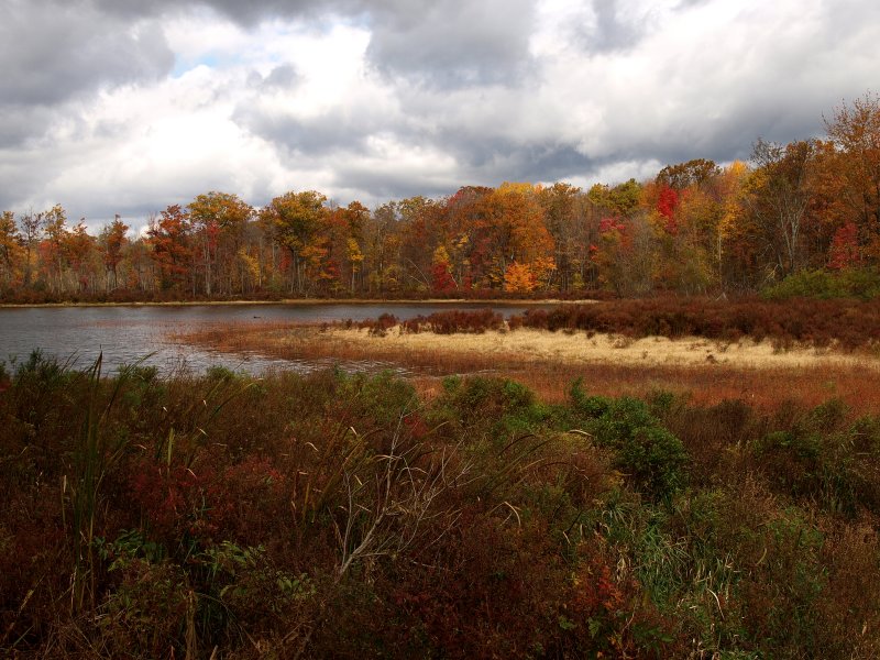PA221209.jpg