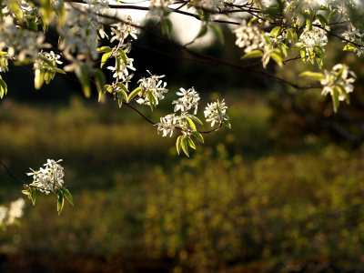 P4292154.jpg