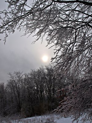 P2084777.jpg