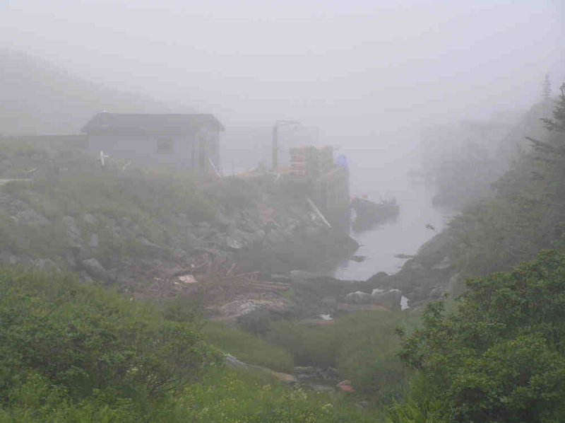 P7090185.JPG