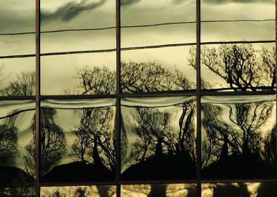 REFLECTIONS: Ominous by cathywaters