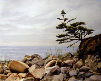 Shoreline Rocks