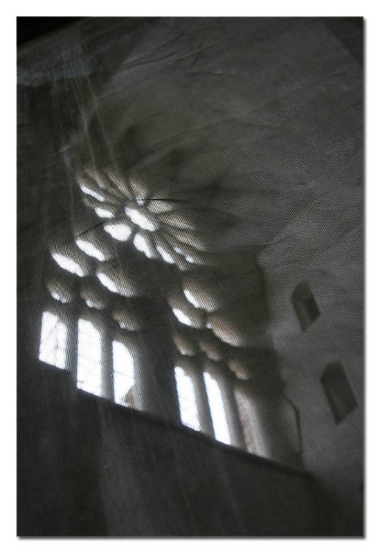 veiled light