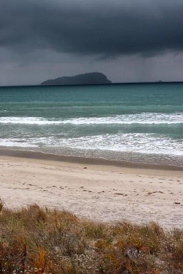 shoe island in the rain