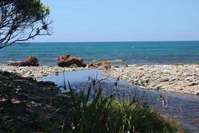 sailor's grave bay