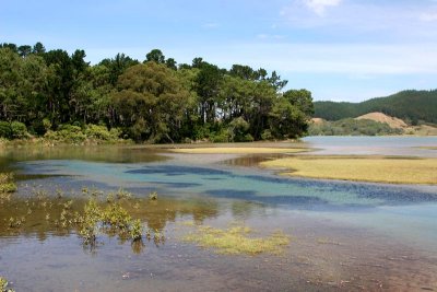 Opuotere Estuary