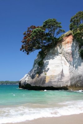 Cathedral Cove