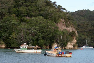 Whitianga Harbor