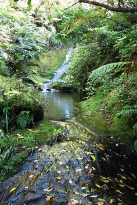 magical pools