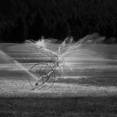 Sprinklers and frozen grass