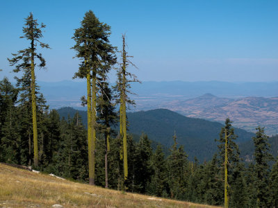 View from Mt. Ashland