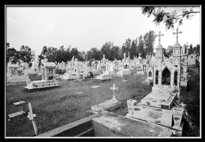 Cotija Graveyard