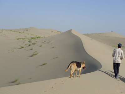 Taklaman Desert1.jpg