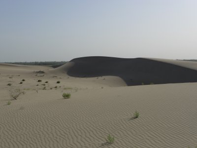 Taklaman Desert7.jpg