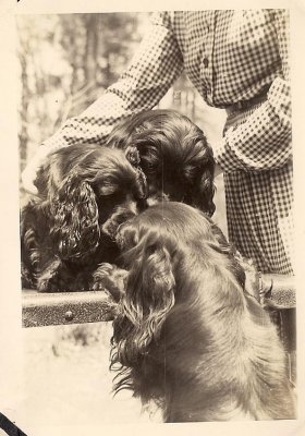 scan0011.jpg