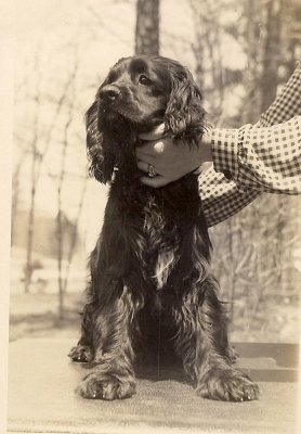 scan0013.jpg