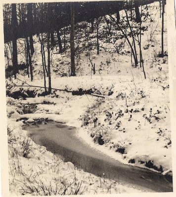 scan0019.jpg