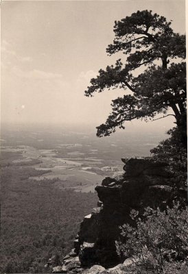 scan0061.jpg