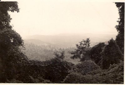 scan0065.jpg